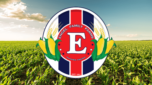 Engel Family Farm - corn