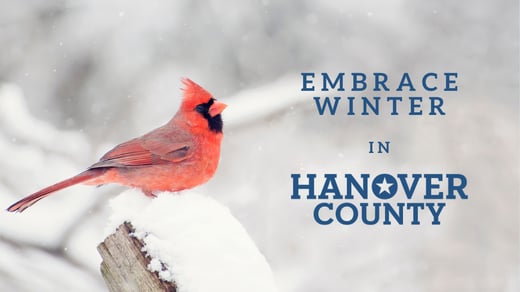 Winter Blog